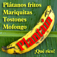 Plantain