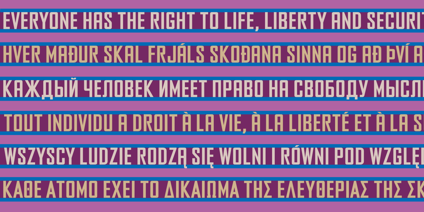 UDHR