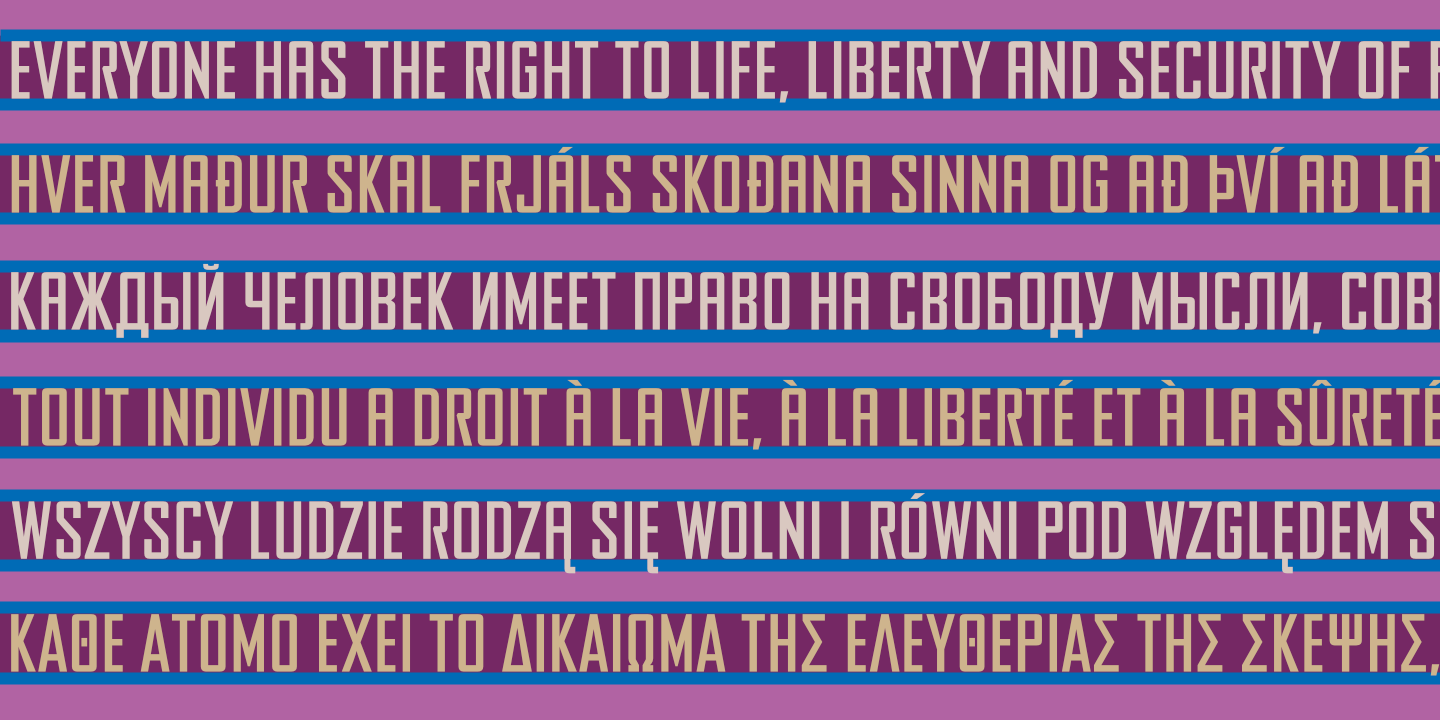 UDHR