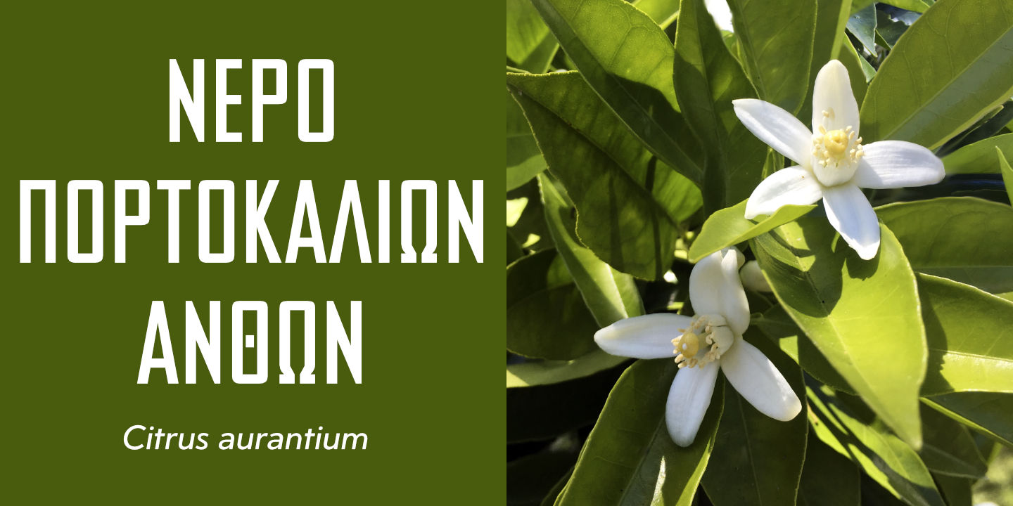 Click image to enlarge and for more information. Orange Blossom Water