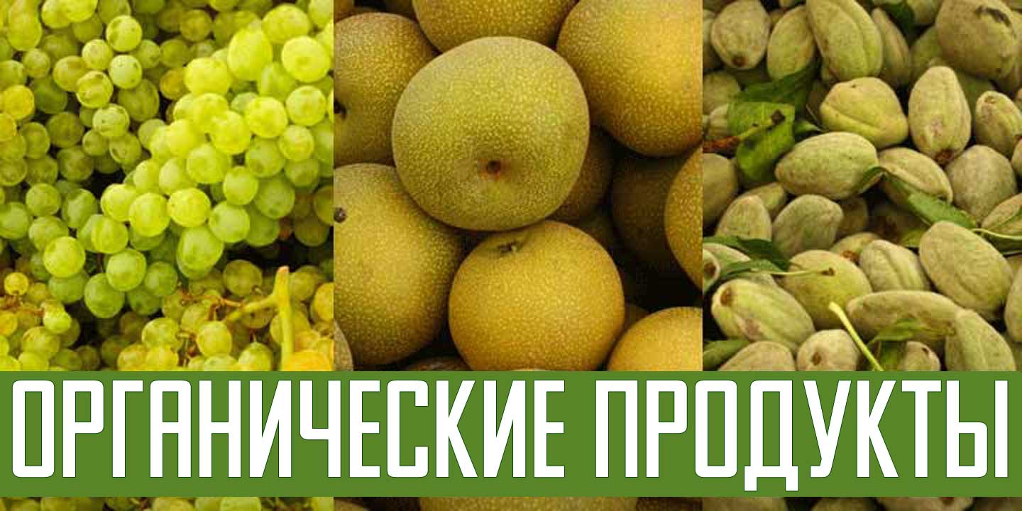 Click image to enlarge and for more information. Font poster