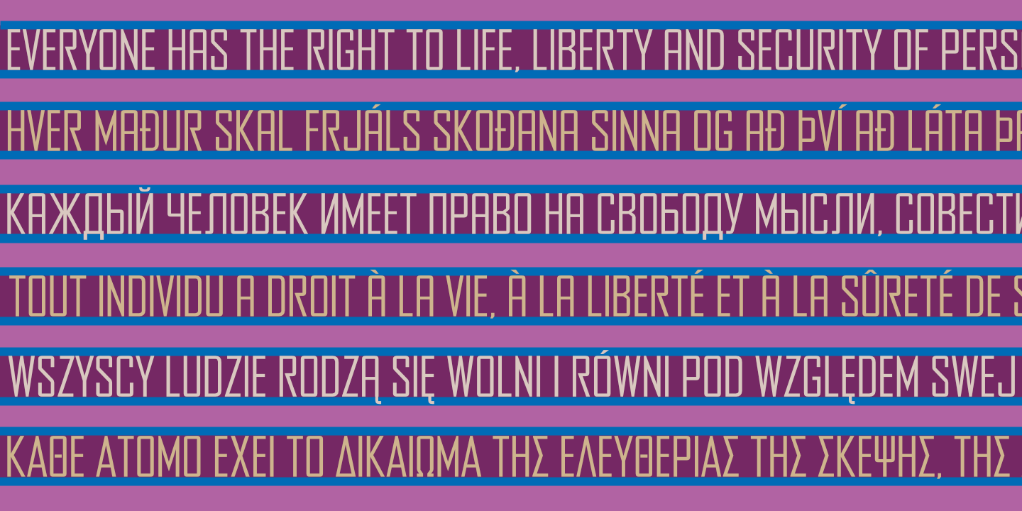 UDHR