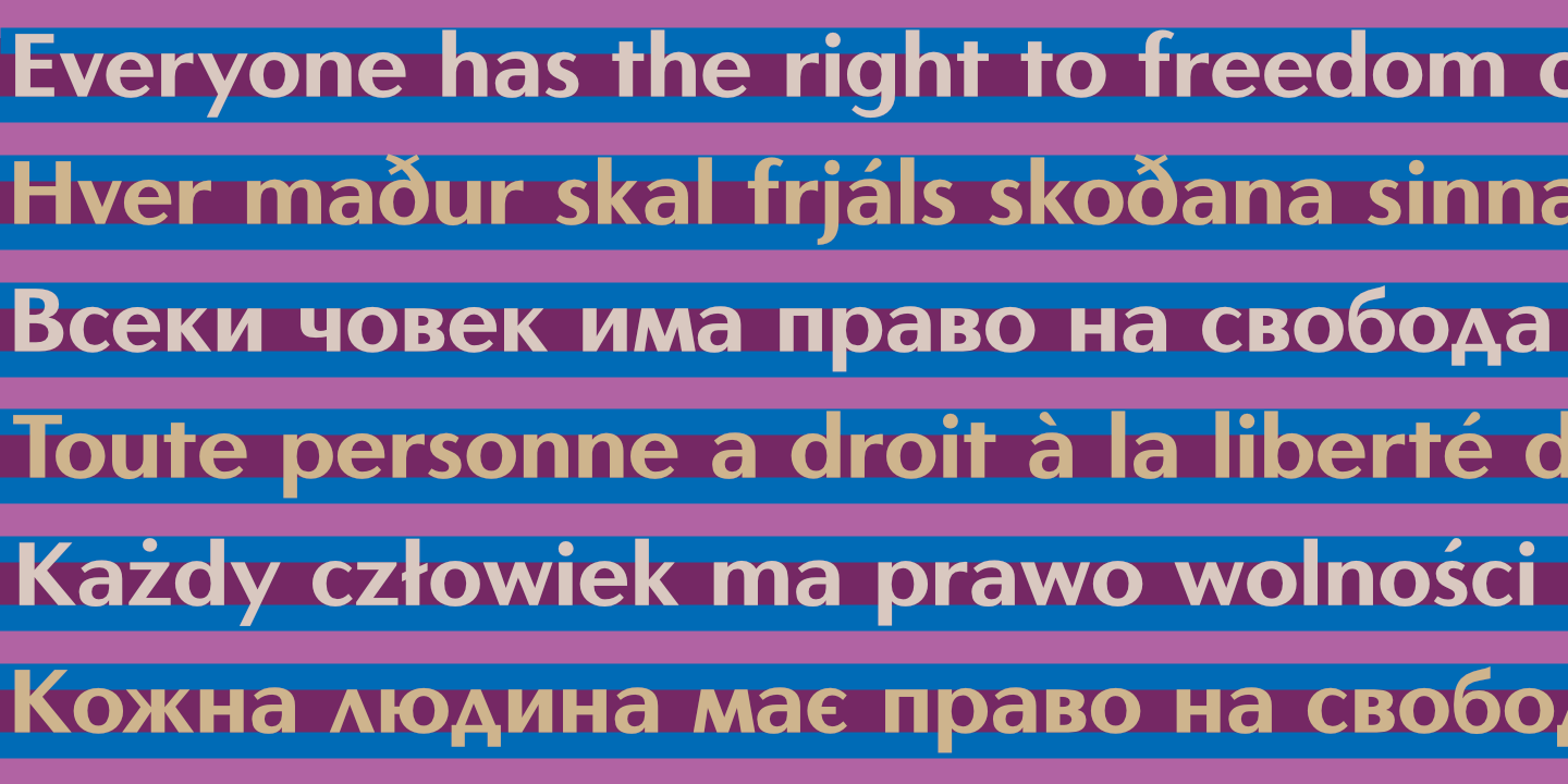 UDHR