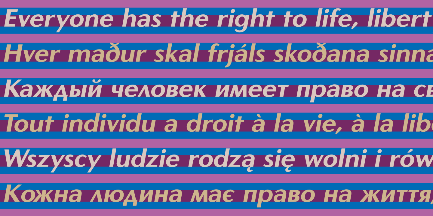 UDHR - Oblique