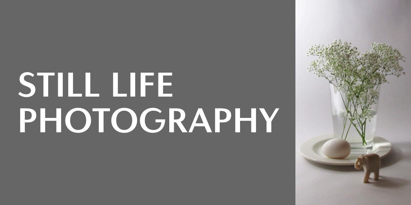 Still Life Photography