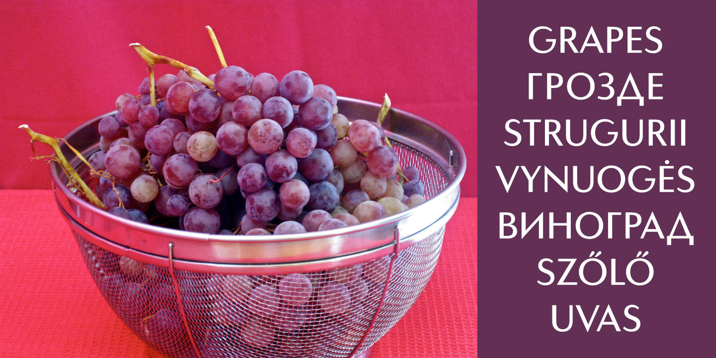 Click image to enlarge and for more information. Grapes - multilingual