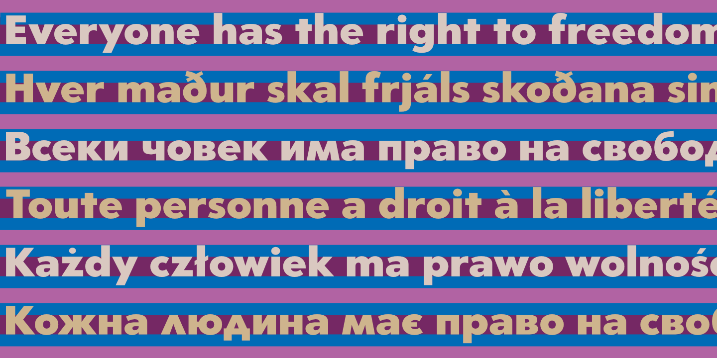 UDHR