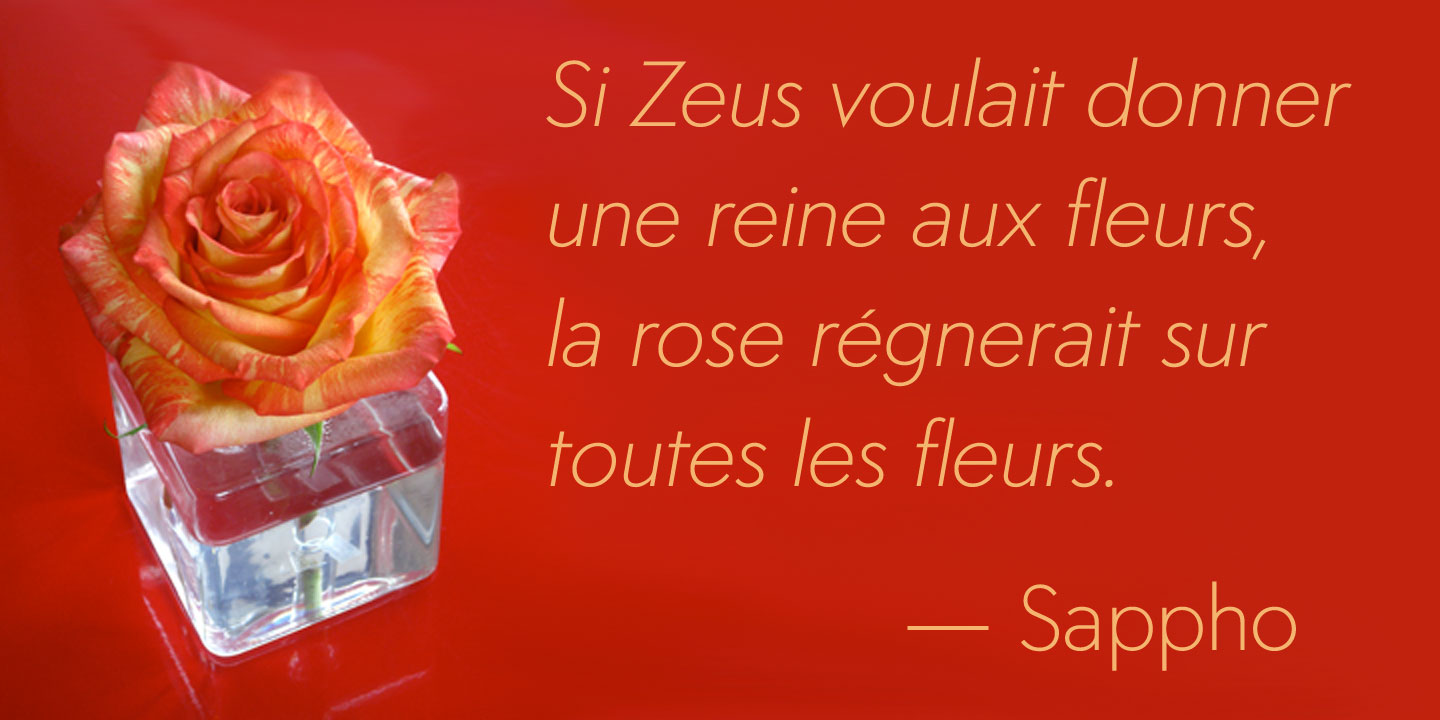 Click image to enlarge and for more information. Font poster