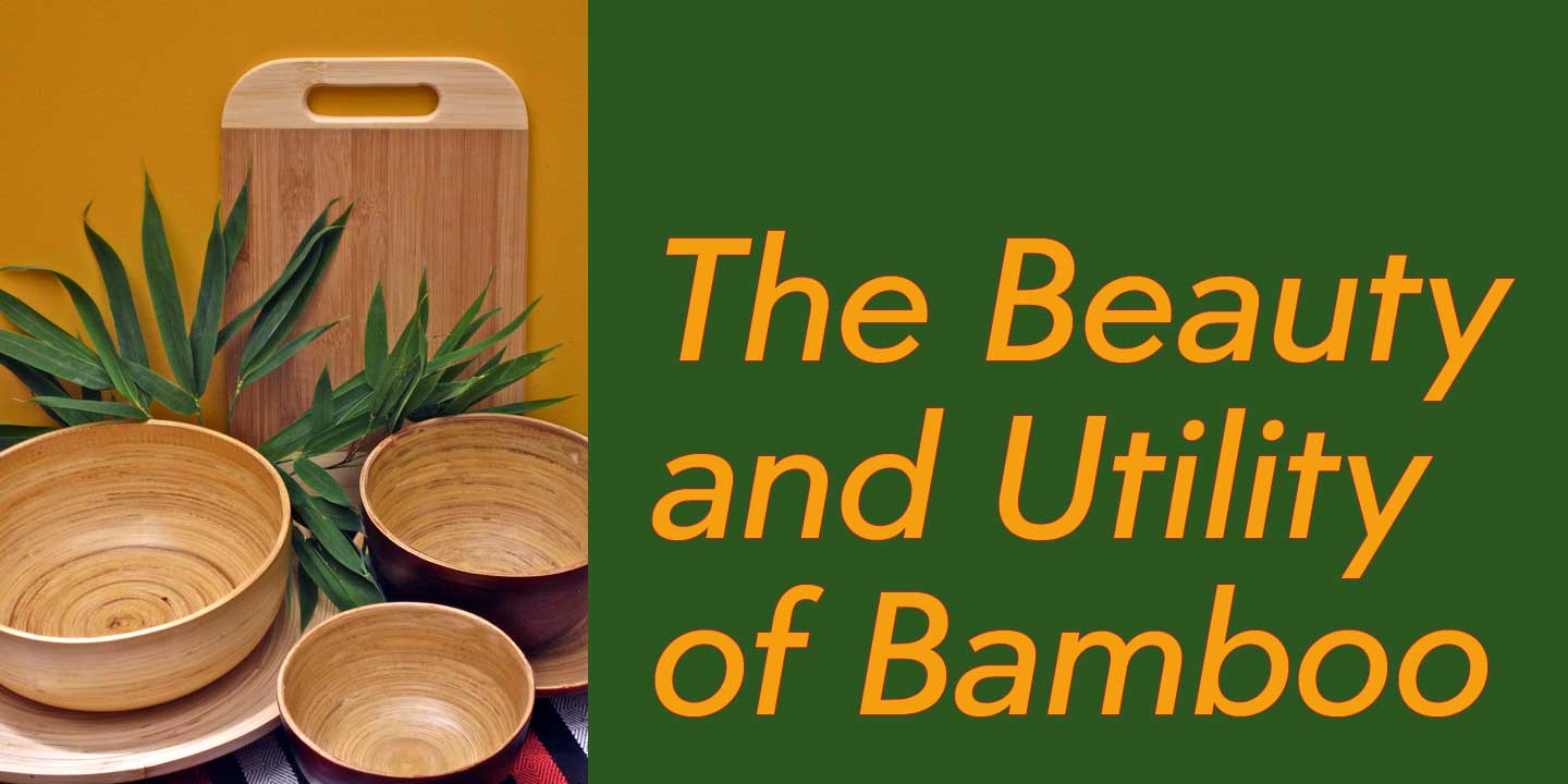 Beauty of Bamboo