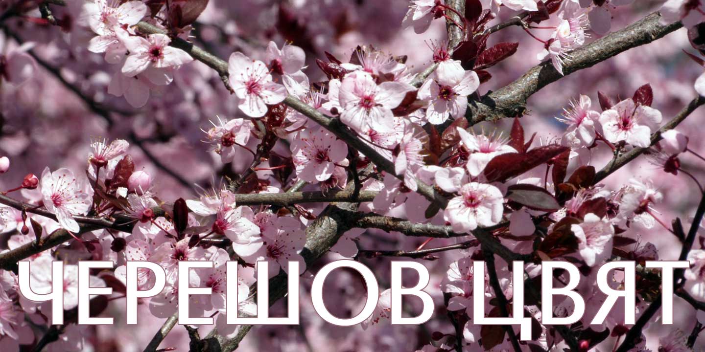 Click image to enlarge and for more information. Font poster