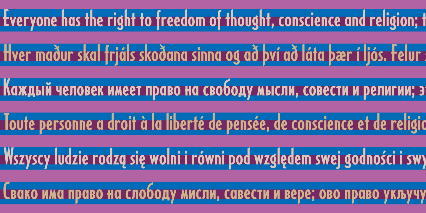 United Nations Declaration of Human Rights
