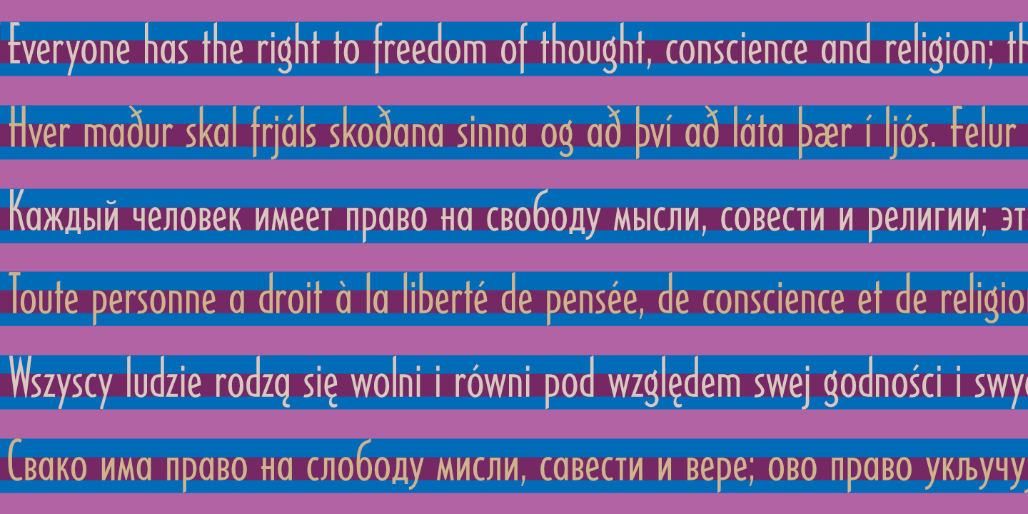 United Nations Declaration of Human Rights