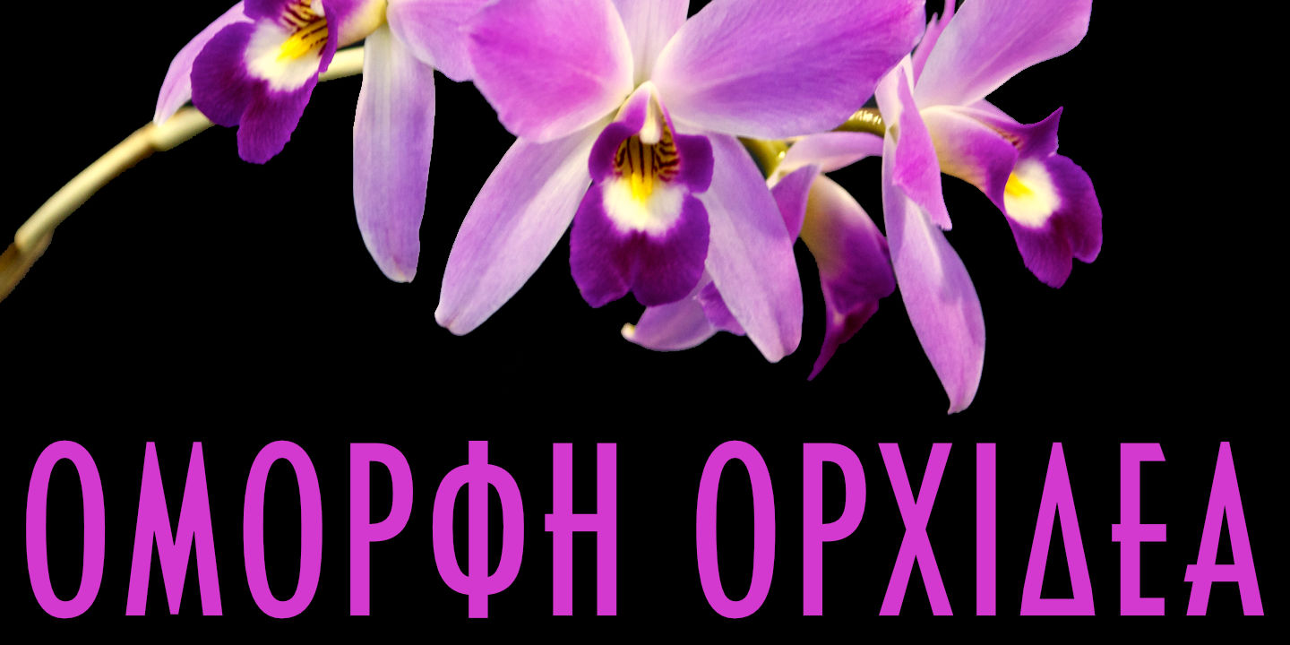 Click image to enlarge and for more information. Font poster
