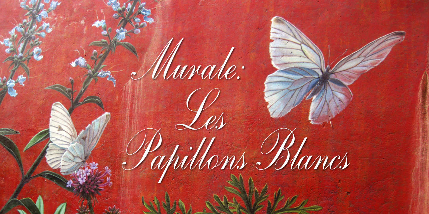 Papillons Blancs