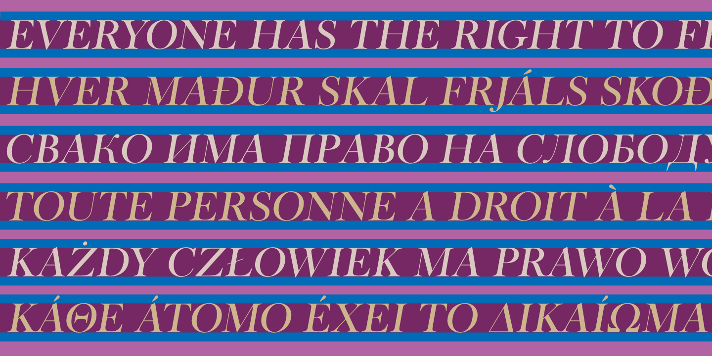 United Nations Declaration of Human Rights