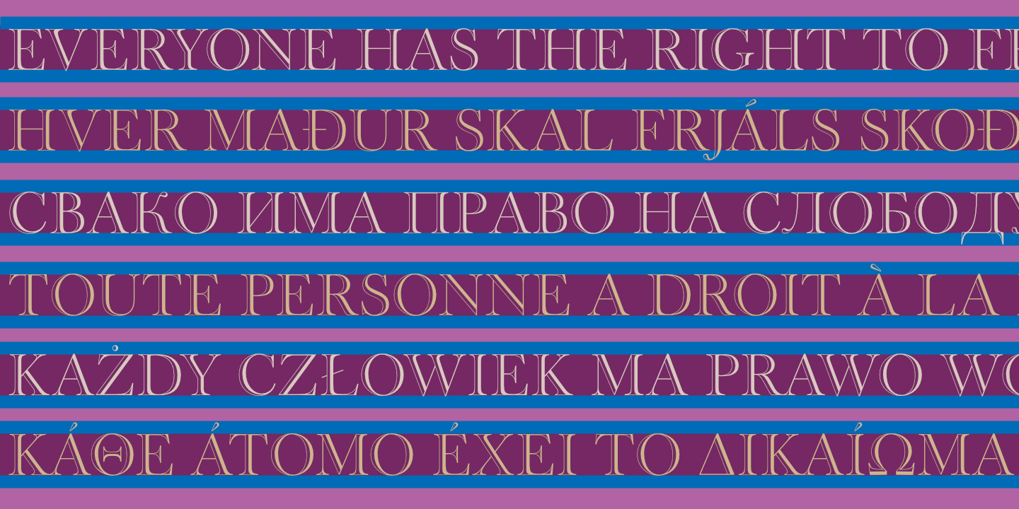 United Nations Declaration of Human Rights