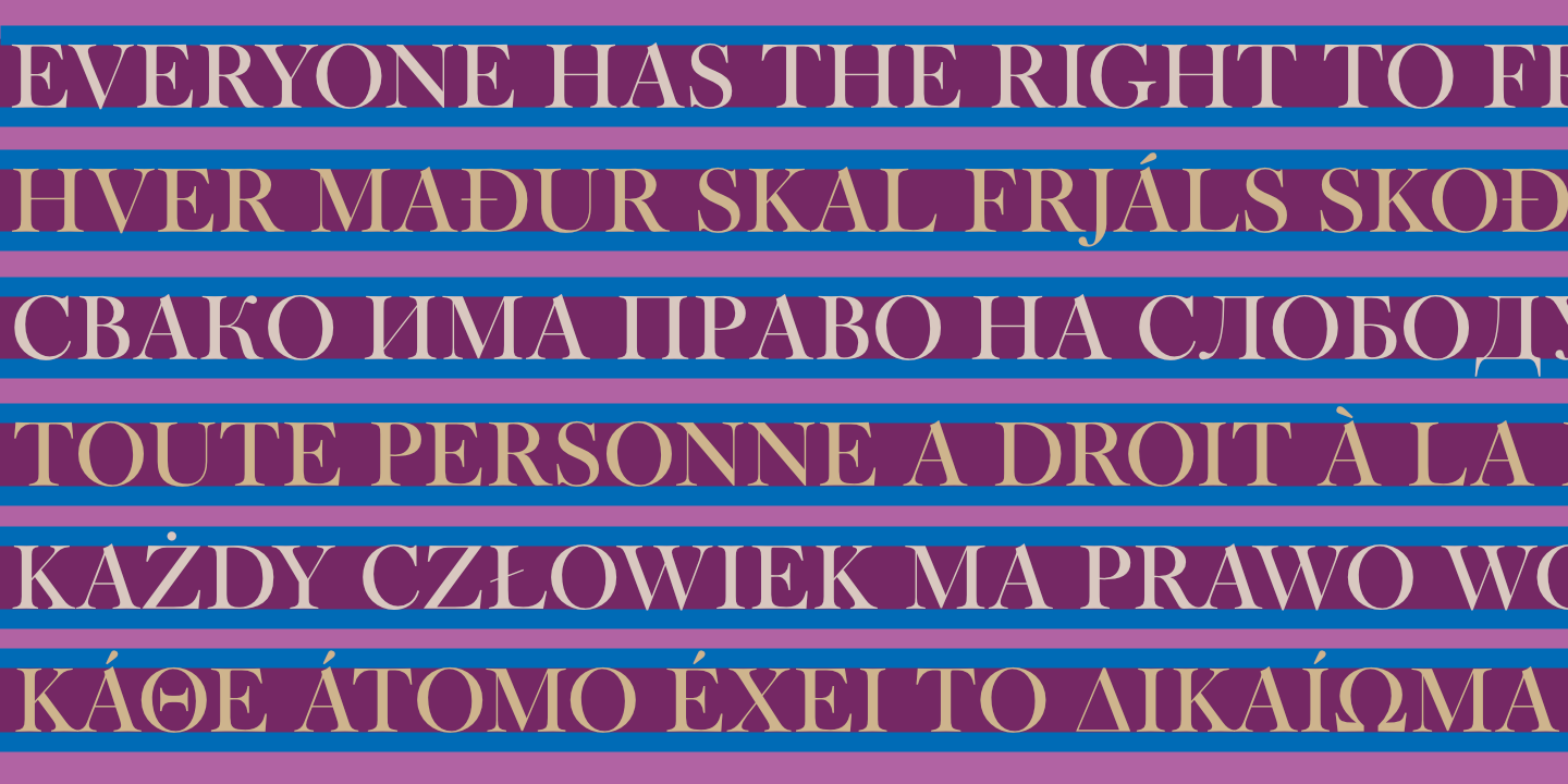 United Nations Declaration of Human Rights