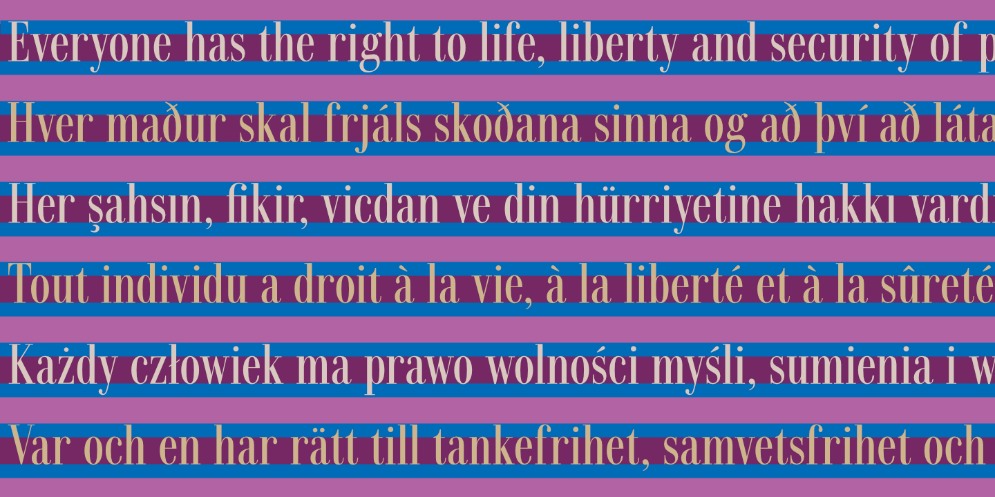UDHR