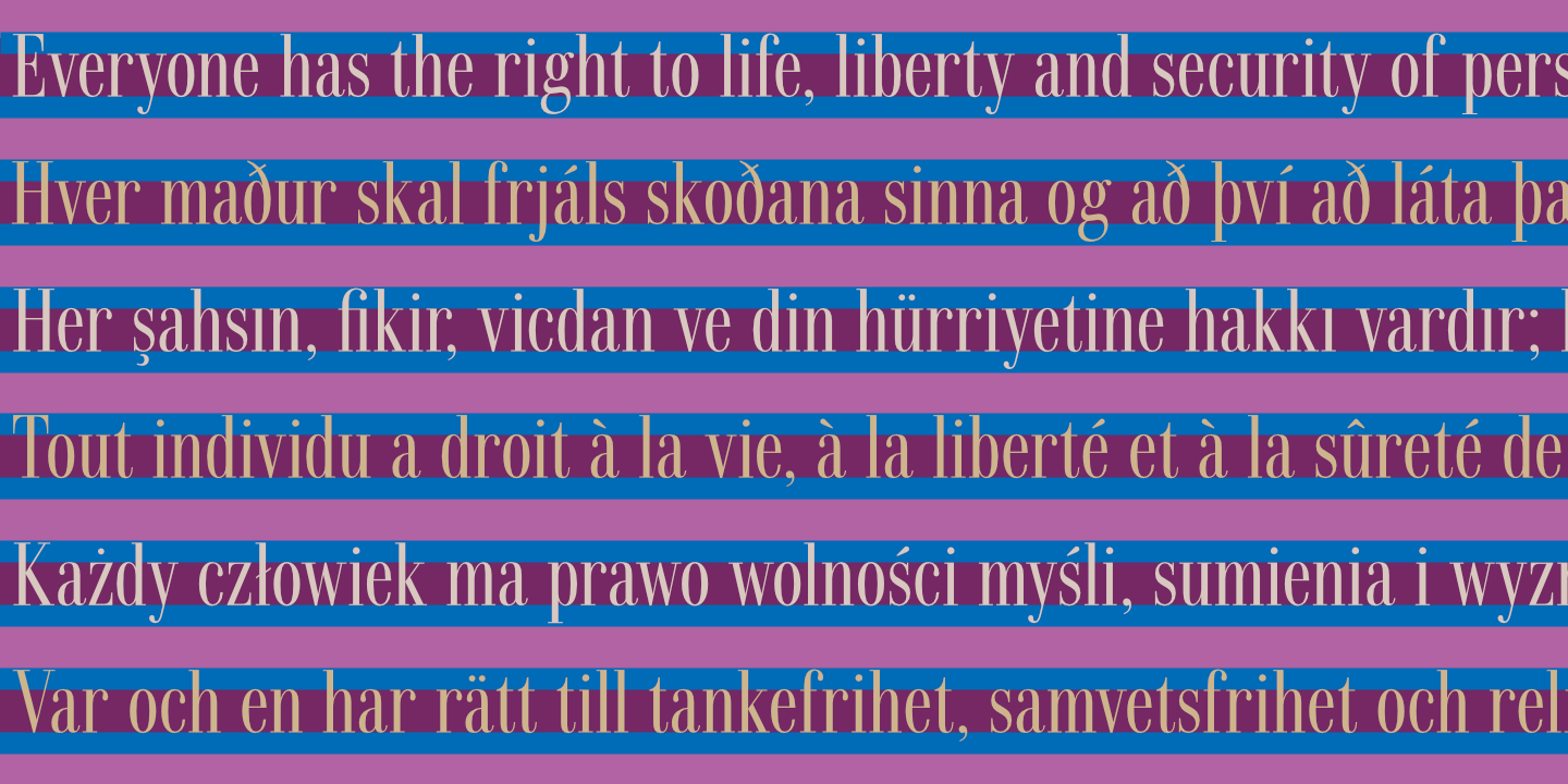 UDHR