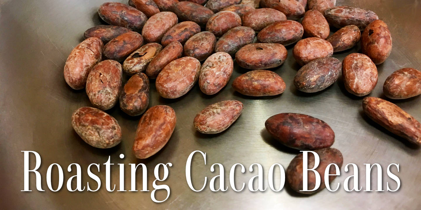 Click image to enlarge and for more information. Cacao Beans