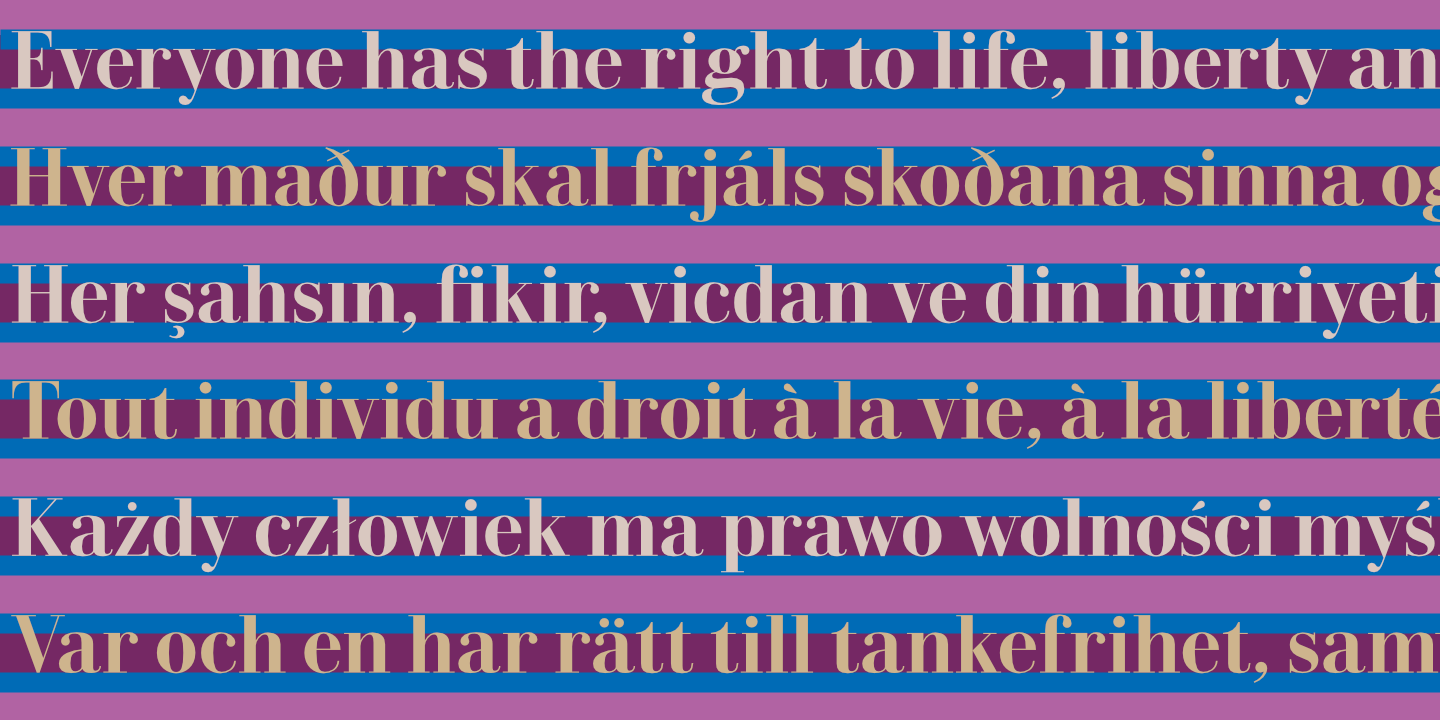 UDHR