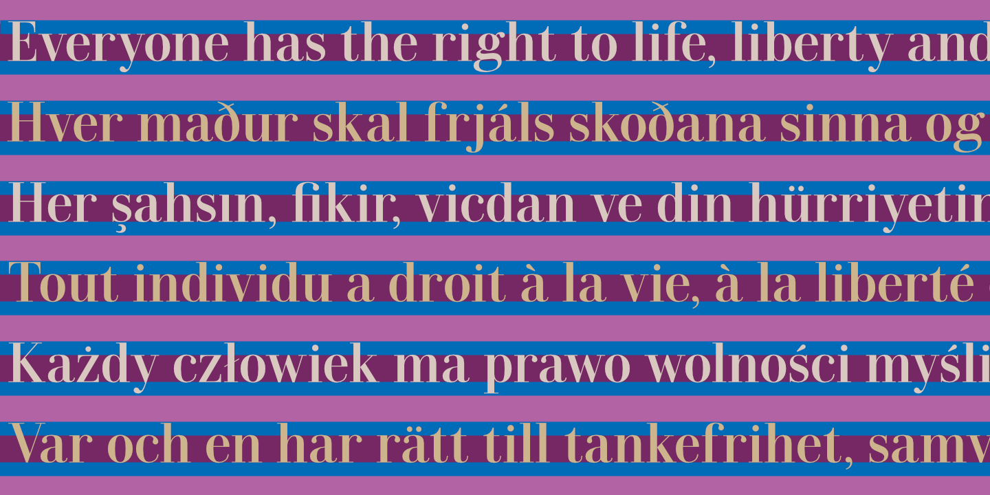 UDHR