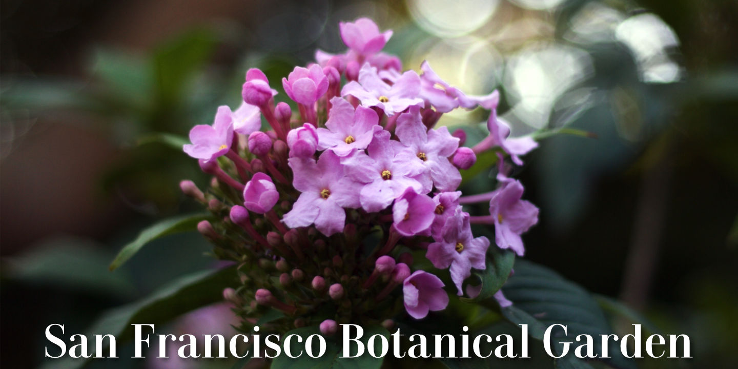 Click image to enlarge and for more information. Botanical Garden