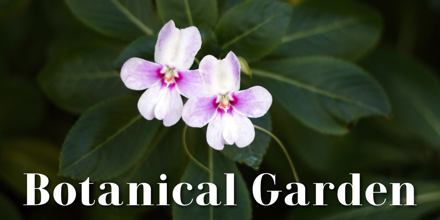 Click image to enlarge and for more information. Botanical Garden