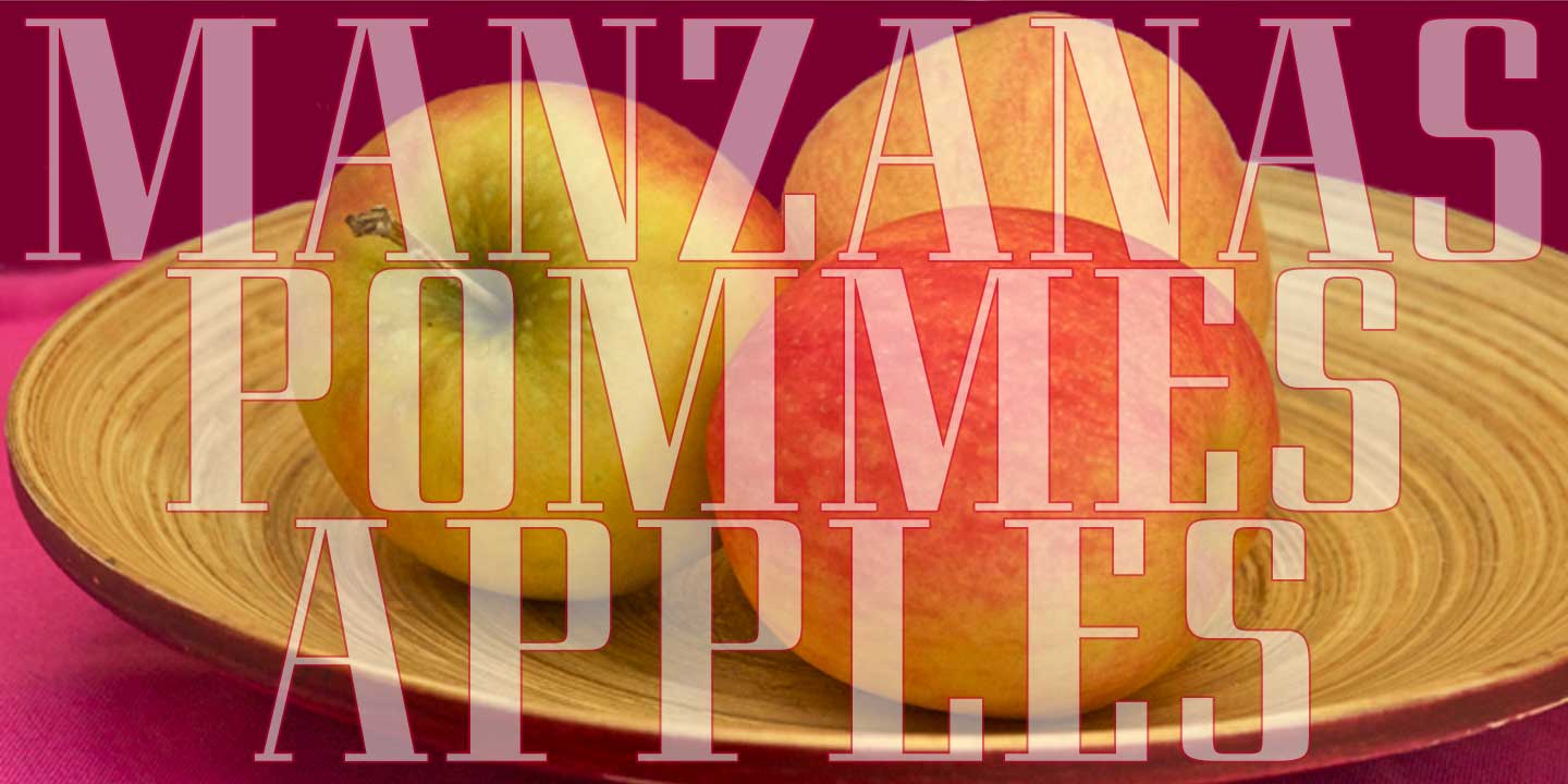 Click image to enlarge and for more information. Font poster