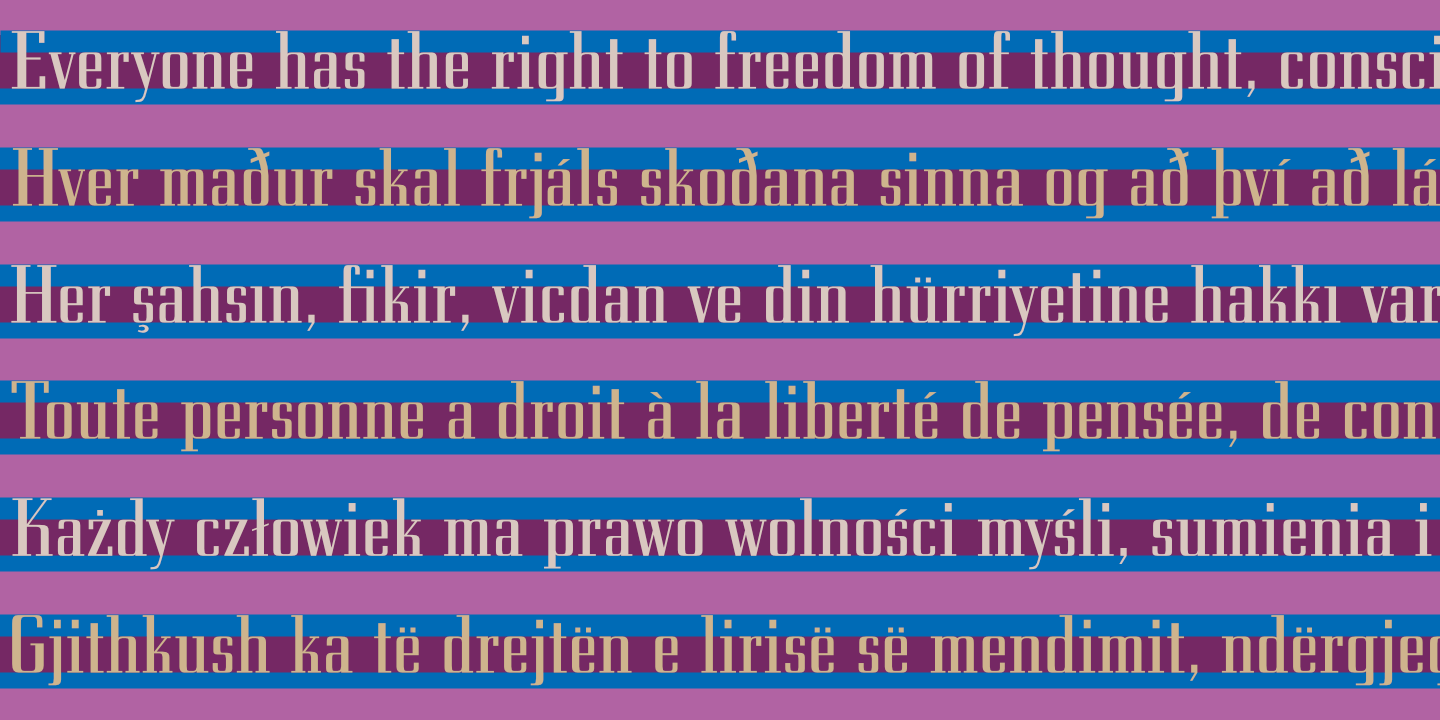 UDHR