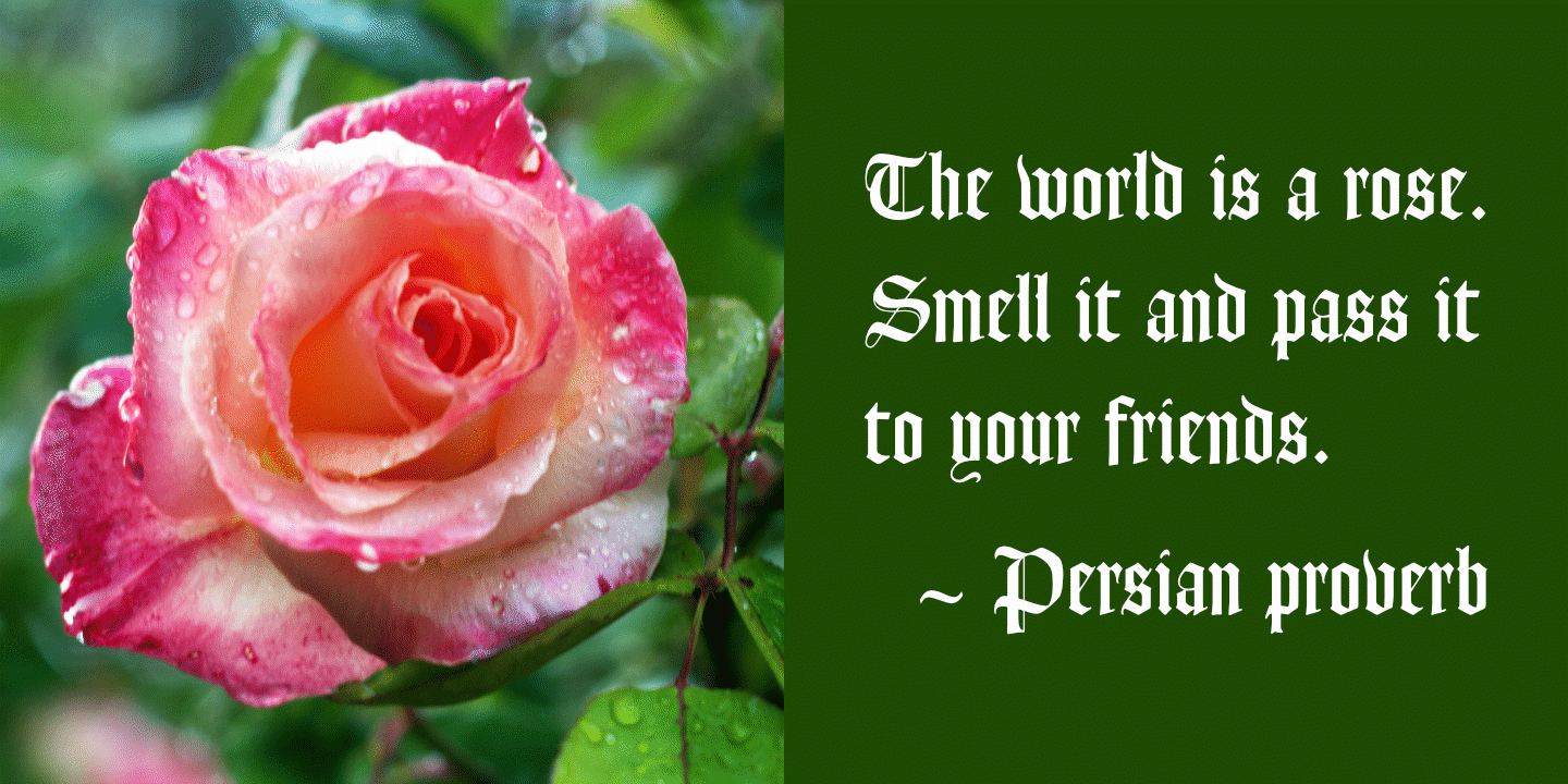 The world is a rose