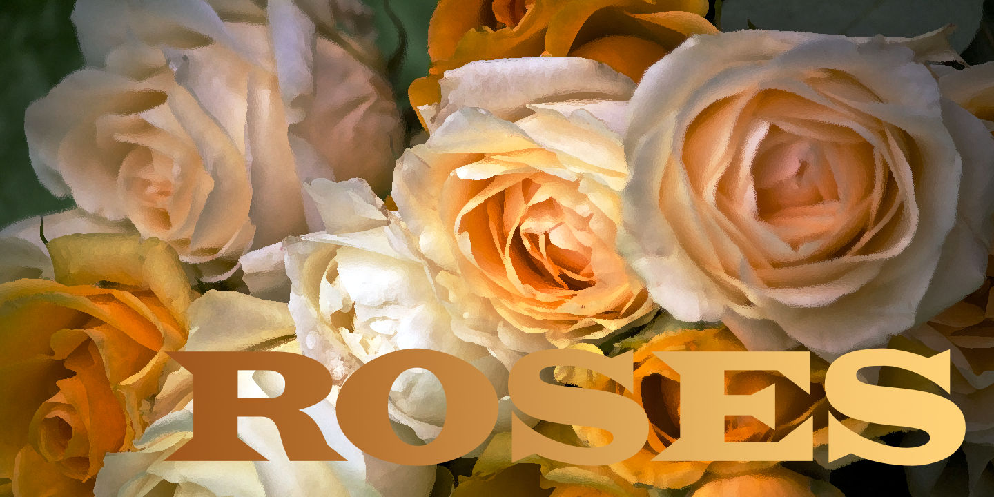 Roses