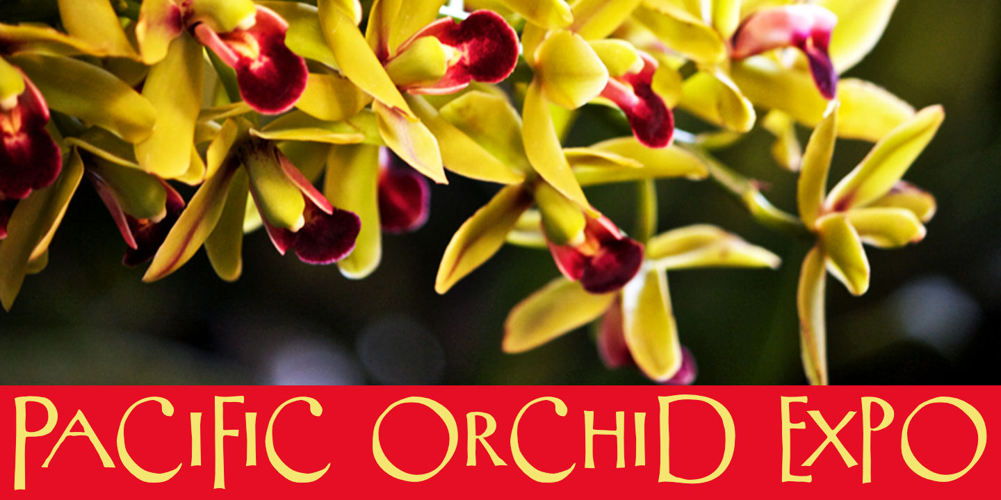 Click image to enlarge and for more information. Font poster