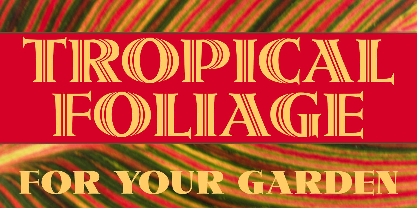 Click image to enlarge and for more information. Font poster