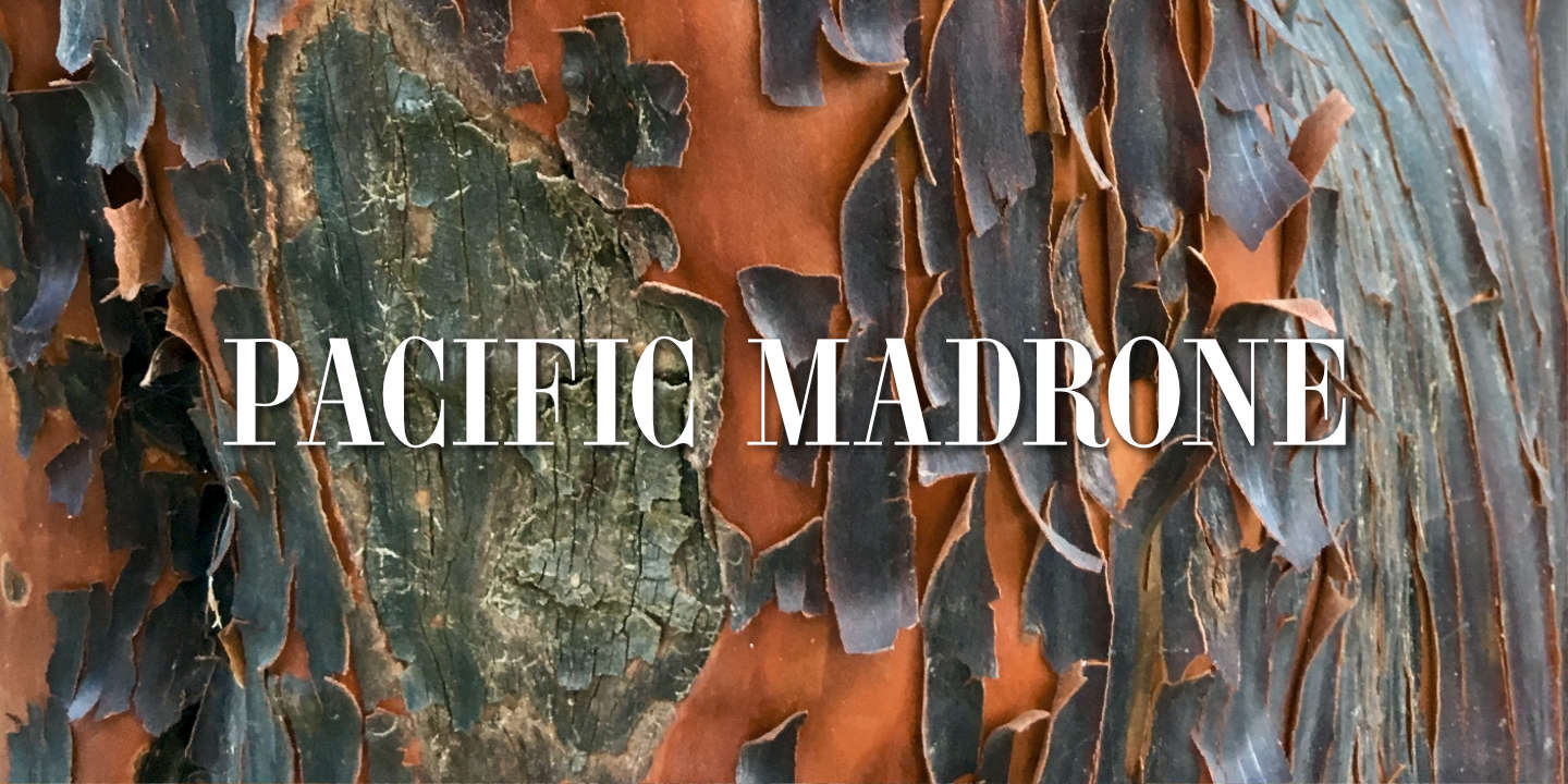Pacific Madrone Bark