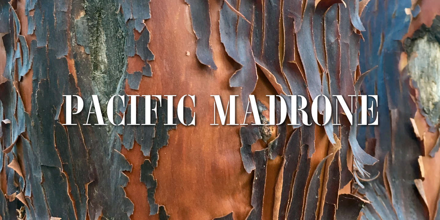 Pacific Madrone Bark