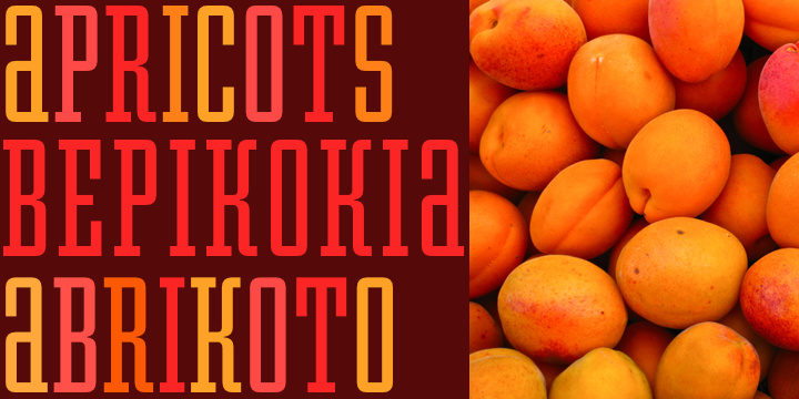Click image to enlarge and for more information. Font poster