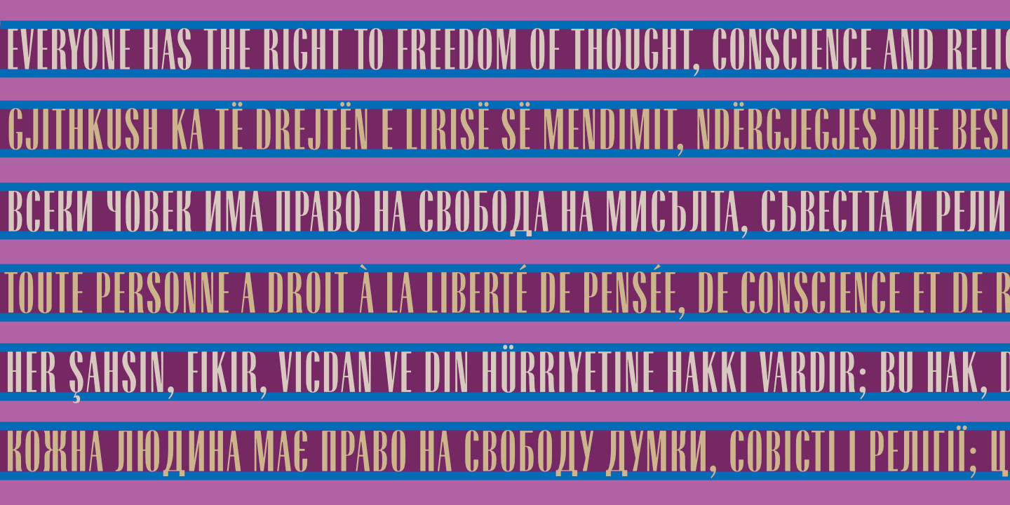 UDHR