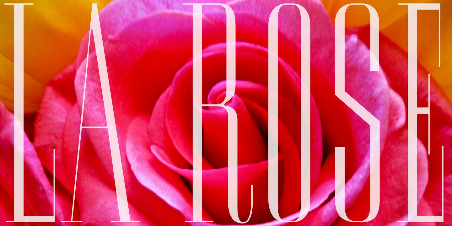 Click image to enlarge and for more information. Font poster