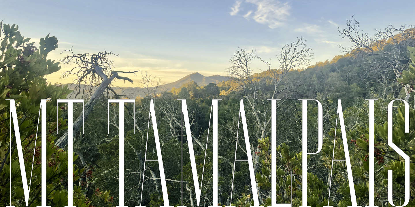 Click image to enlarge and for more information. Font poster