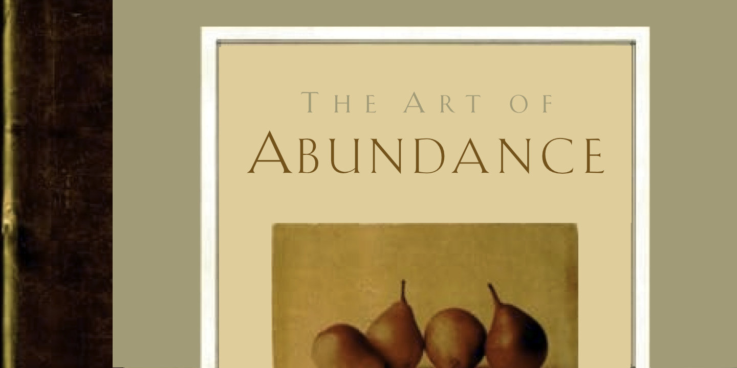 Abundance - book cover