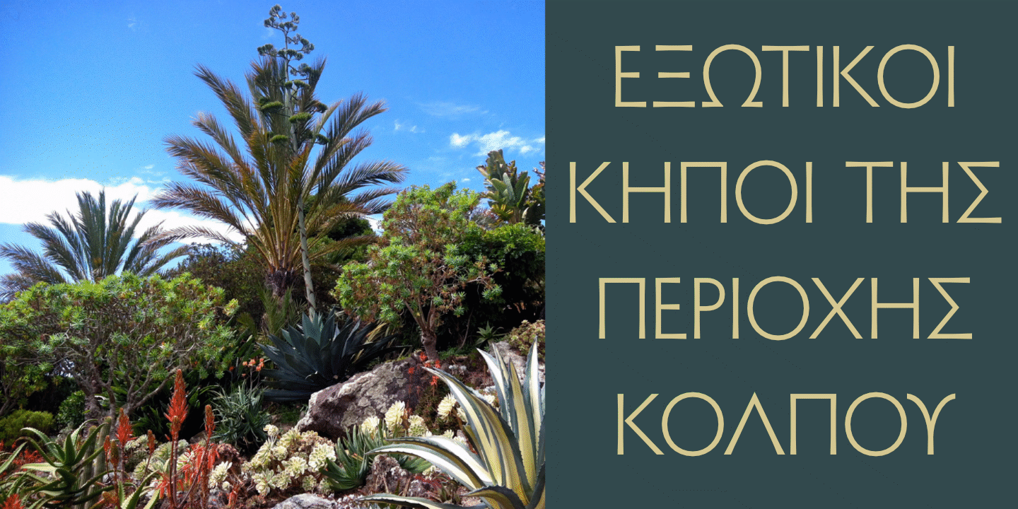 Exotic Gardens