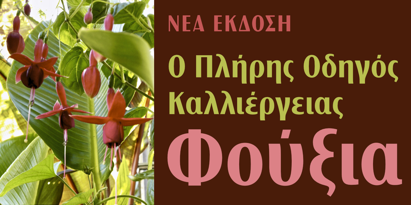Click image to enlarge and for more information. Font poster