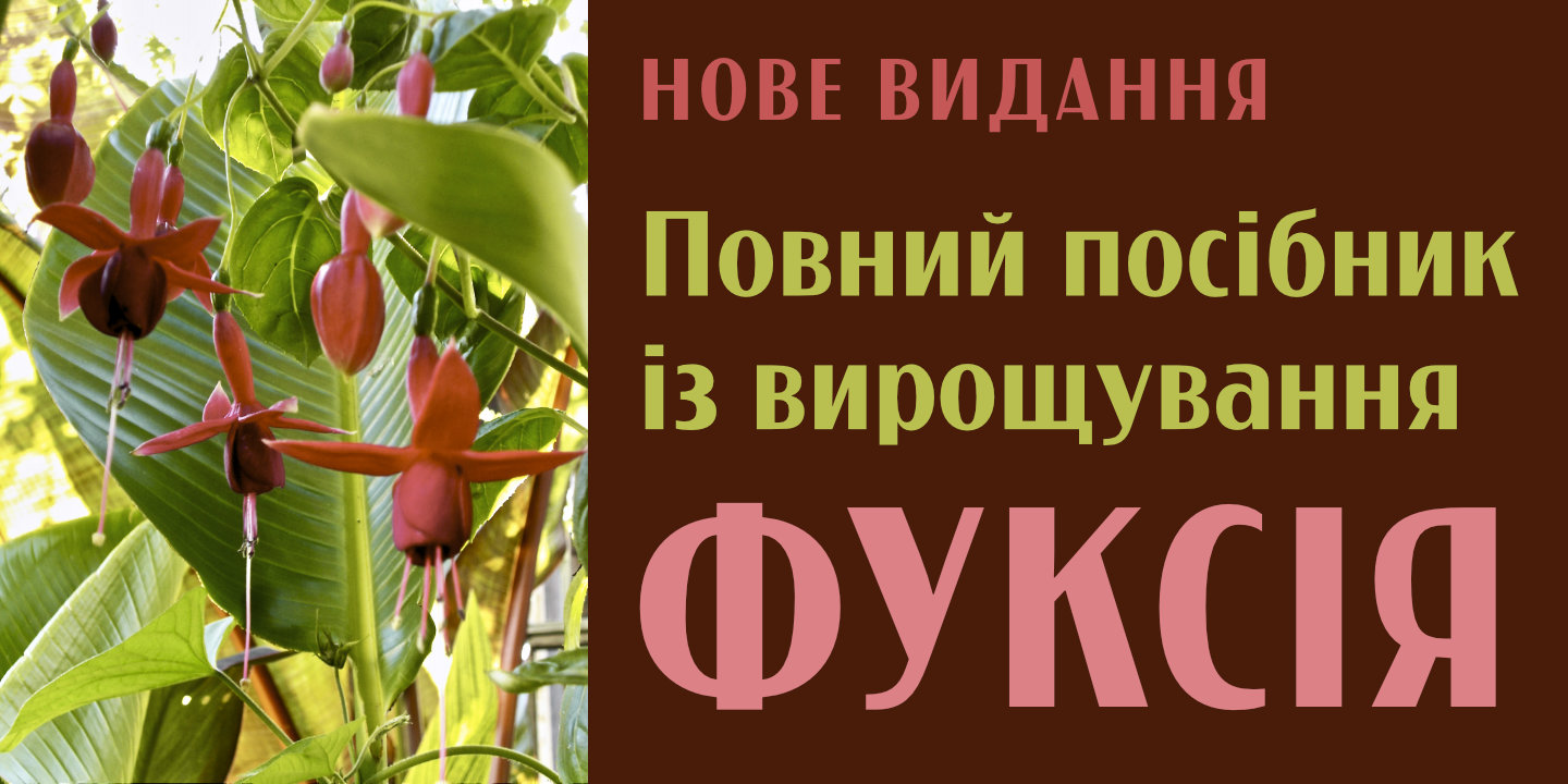 Font poster
