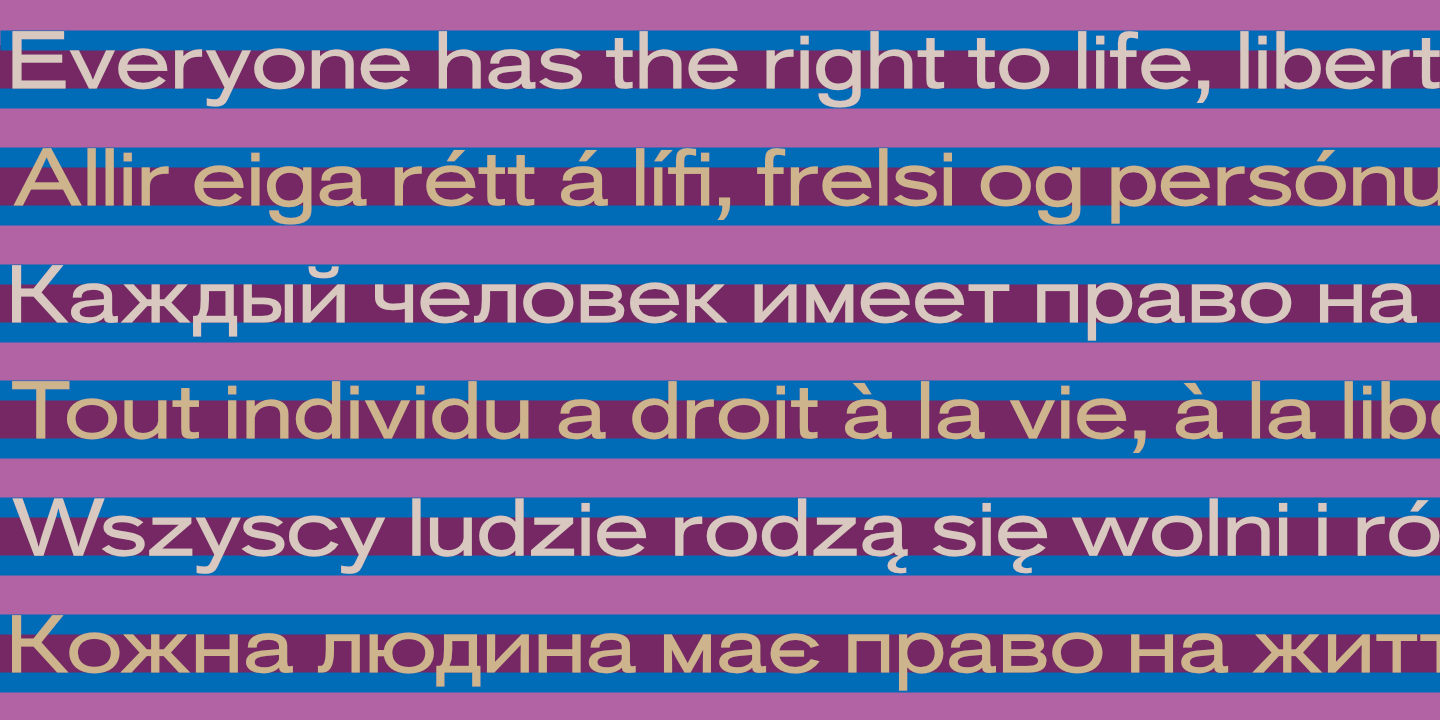 UDHR