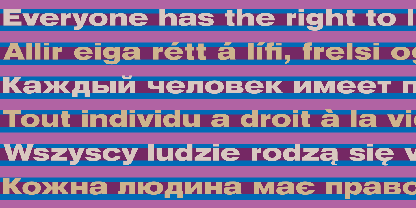 UDHR