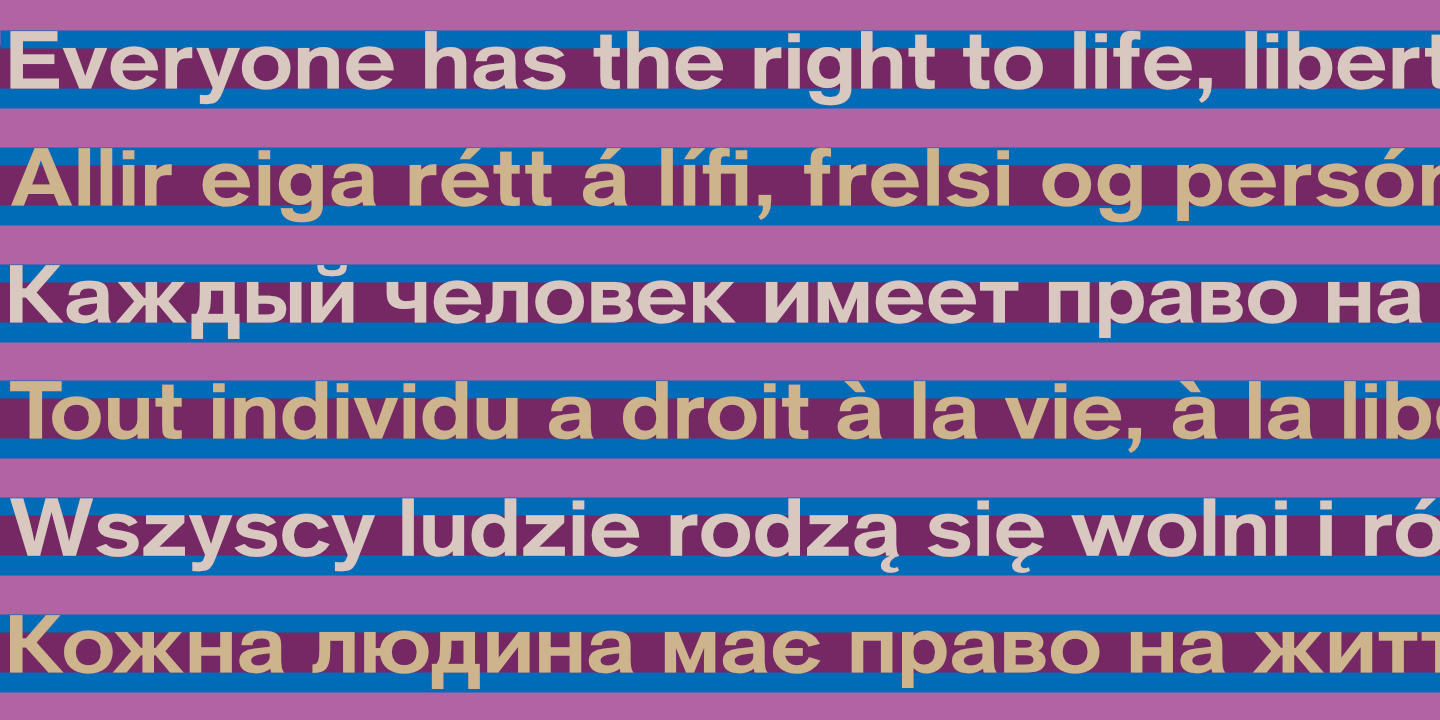 UDHR