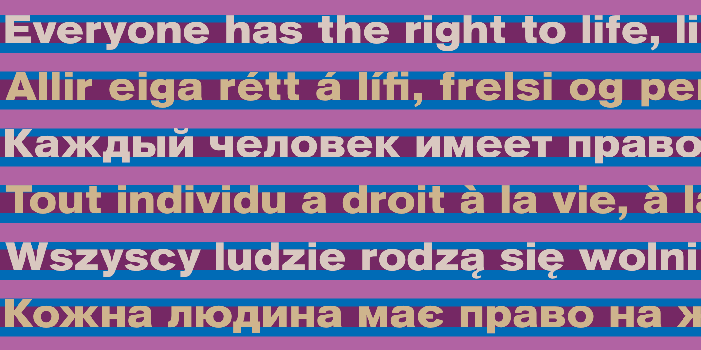 UDHR