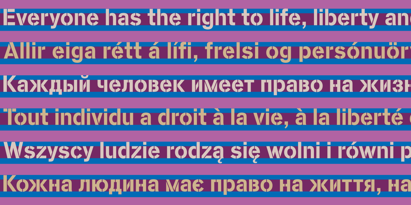 UDHR