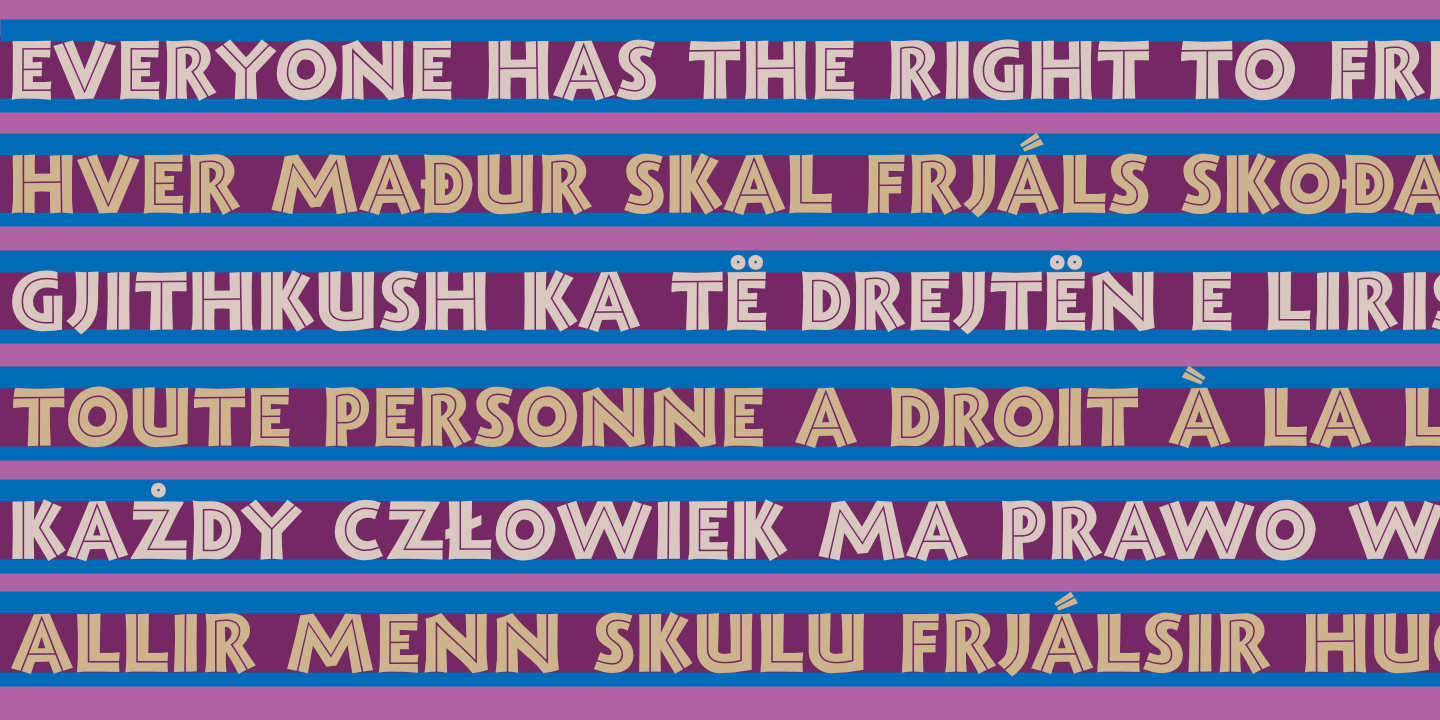UDHR